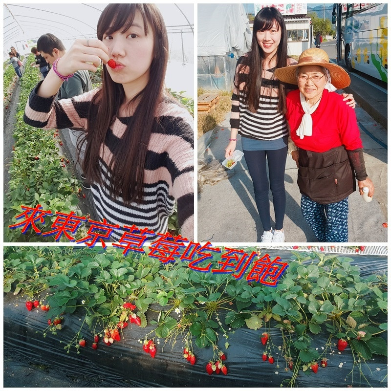 [國外旅遊] 日本 東京 跟著Klook行程來草莓吃到飽