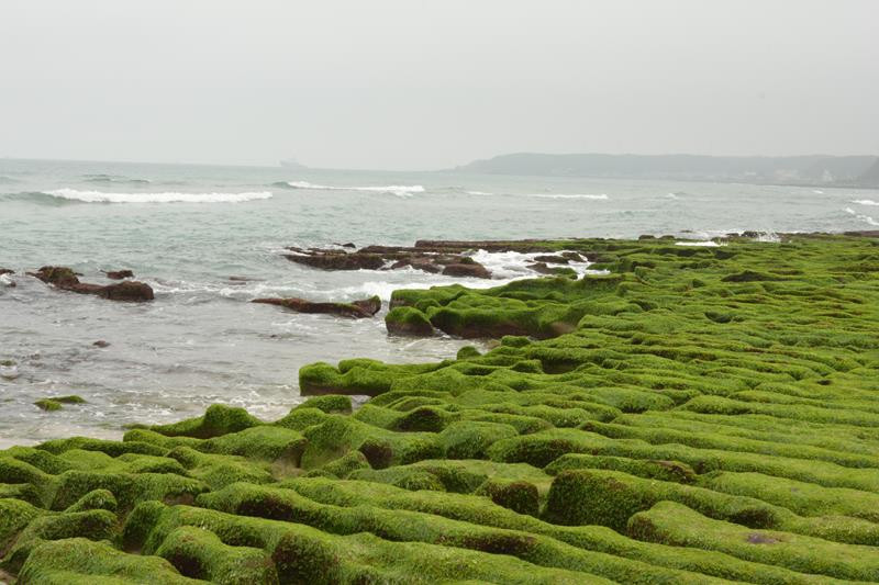 [北海岸]石门老梅沙滩~春季限定绿石槽美景