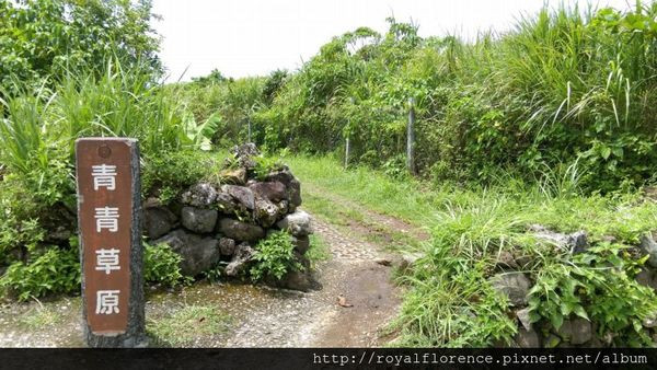 台东县兰屿乡旅游行程推荐兰屿青青草原『绿岛兰屿双岛自助行 d3 [2/6