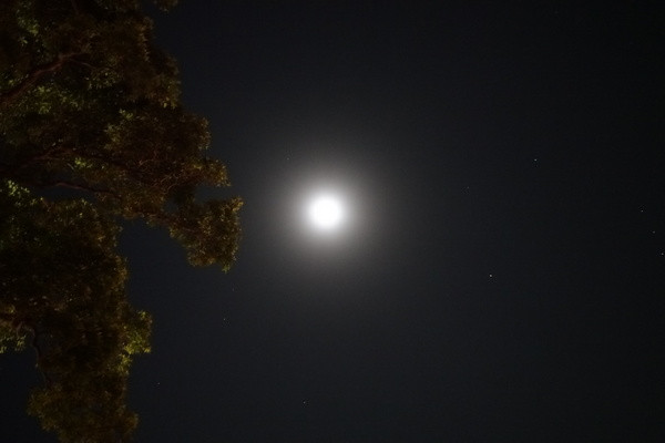 (胖桦食记)阳明山八卦夜未眠景观餐厅.火锅烧烤热炒一