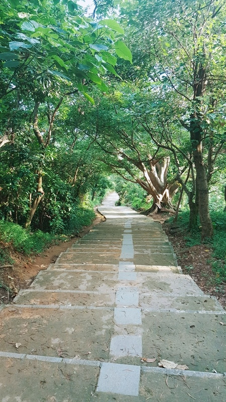 [国内旅游] 台北 剑潭山老地方观景平台|登高望远爬山