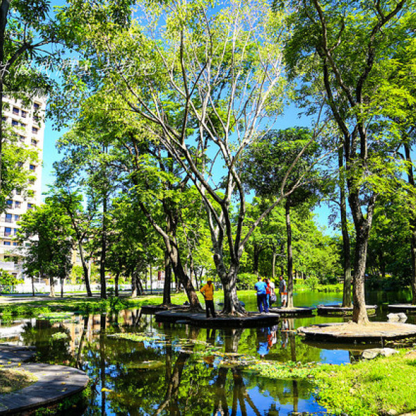 高雄市 休闲旅游 景点 公园 大东湿地公园