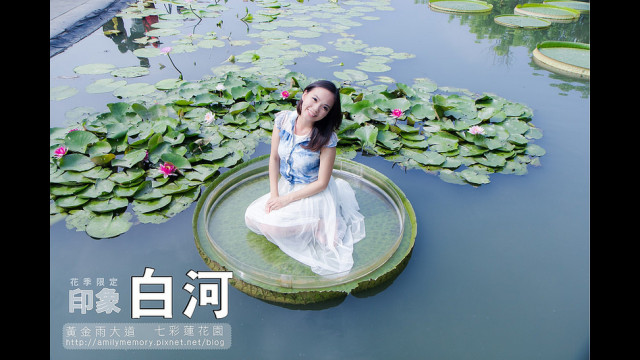 七彩香水莲花园