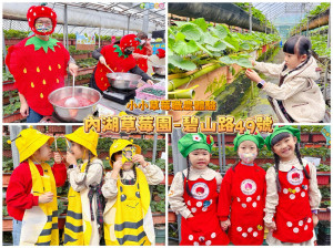 ★台北親子景點★ 內湖草莓園，期間限定小小草莓職人體驗，DIY做果醬、DIY盆栽蛋糕、DIY草莓盆栽還有小小蜜蜂授粉體驗，親子同樂一日遊推薦