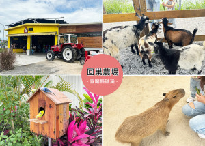 【宜蘭礁溪 親子景點推薦】回巢 Homing 荒野沙漠農場，近距離餵食動物，虎皮鸚鵡在手上吃飼料，園區環境乾靜，人員超友善，來宜蘭絕對會再回訪的親子農場｜Ruby說美食享受旅行(@tour_ruby5