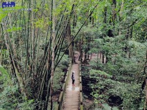 嘉義步道｜推薦蘭潭後山步道＋順撿嘉義市第一高峰-紅毛埤山(小百岳 No.62),海拔僅150公尺,步行15分鐘即可達！