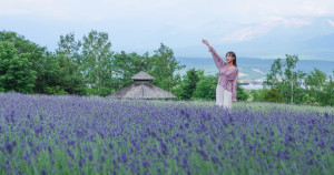 夏天玩北海道首選！15公頃富良野花海「富田農場」免費入場，薰衣草冰淇淋、爆汁哈密瓜必吃。