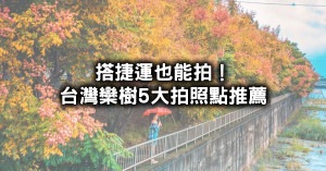 搭捷運也能拍！秋季限定5條台灣欒樹大道、欒樹隧道打卡點，最親民打卡點「天母、圓山」路過就能拍美照。