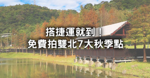 雙北7大秋季景點搶先看！搭捷運就到「秋季賞楓、落羽松景點」免費拍，落羽松湖畔倒影先筆記。