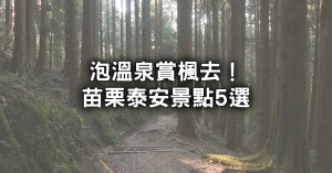 苗栗泰安景點5選懶人包！最親民楓葉步道、露天泰安溫泉池，免花錢推薦先看。