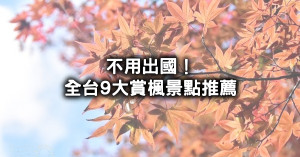 2024台灣9大賞楓景點推薦！不用出國也能拍的奧萬大楓葉、福壽山農場、賞楓步道馬那邦山約衝。