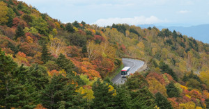 福島磐梯吾妻Skyline一生必訪！天空之橋「不動澤橋」、15分鐘攻頂「梧棲小富士」福島自駕首選。