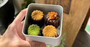 台南美術館旁！台南可麗露專賣店「Autumn canelé」聖誕節鐵盒必買，每天賣完就沒了。