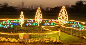 三重人的花海夜景！10萬盆花海 光雕秀衝鴨鴨公園，不要再去耶誕城被擠。