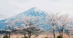 東京近郊去這7個地方就對了！河口湖富士山美景 川越神社洗錢祈福，東京近郊小旅行必玩清單。