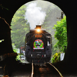 2013南投火車好多節 水陸空一網打盡 蒸汽火車、熱氣球、積木展 