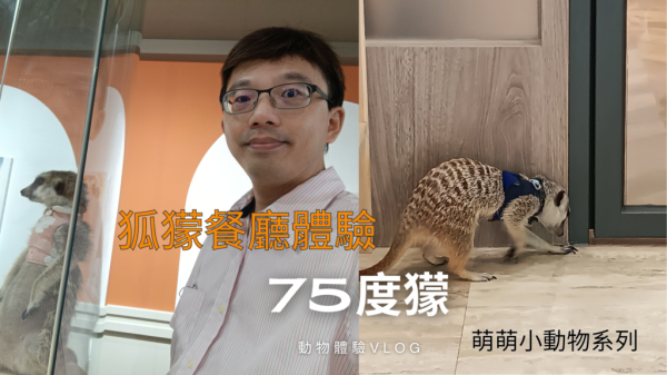 台北市大安區【走。遊台北】Meerkat75 Café - 75度獴玩獴獴  2024/9/6 20:00上映