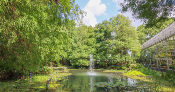 網美必訪！全台最大玻璃屋餐廳菁芳園，提供充滿綠意的美景外，還有一吃上癮的招牌美味。