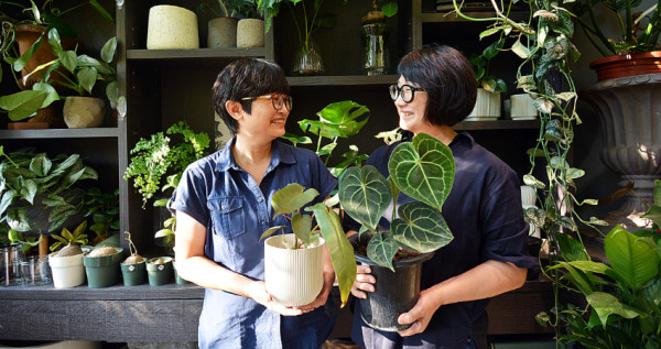 「花間散步」用花花草草為生活美學增添情趣，也吸引許多熱愛植栽的粉絲一同加入，台中豪宅區裡的一片小清新名店。