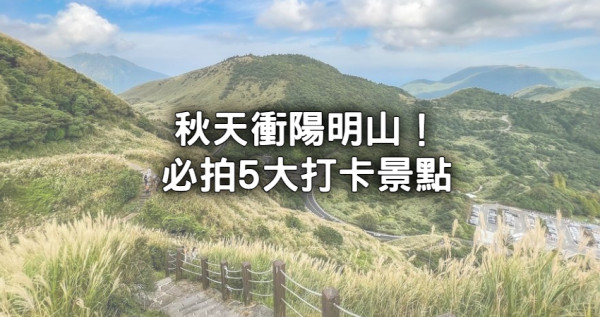 不只芒花好拍！陽明山5大「必拍秋季景點」推薦，隱藏版青楓步道、黃金楓花園全要拍。