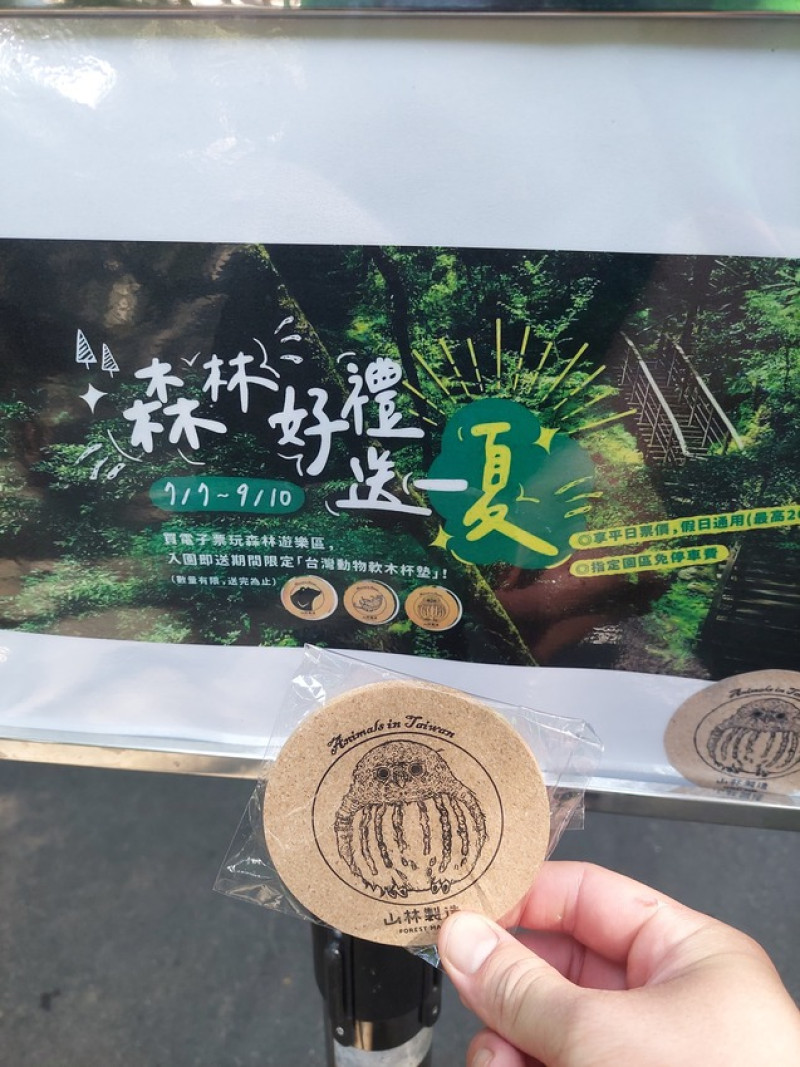 |新北三峽|親子踏青賞瀑布，國家級森林步道，2023滿月圓國家森林遊樂園