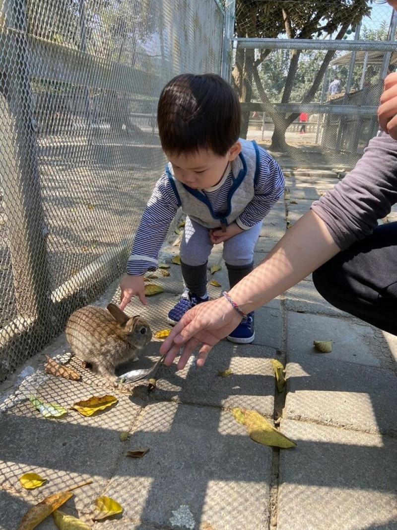 台中市大雅區【台中親子農場推薦】餵食兔兔、和鴕鳥拍照！評比 3 間中部親子農場，親子周末出遊好選擇