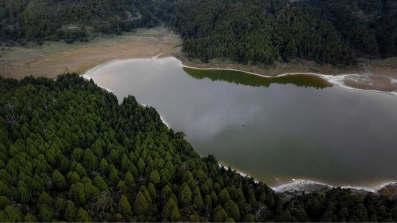 宜蘭縣大同鄉太平山翠峰湖｜全球第一條Quiet Trail，彷彿走進天然錄音室 - Alp Forest 戶外生活媒體平台