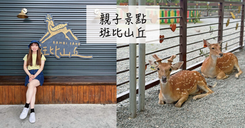 宜蘭親子景點｜斑比山丘Bambi Land 親子農場 可親餵小鹿斑比 水豚 驢子