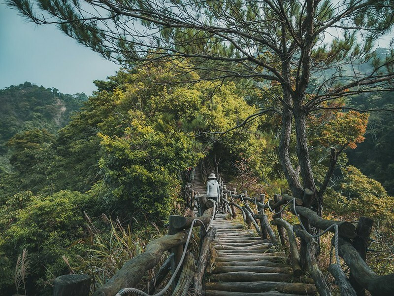 台中步道推薦，大坑登山步道！一共有12條線,初體驗就解鎖最美也最累的大坑四號步道(順撿41號小百岳-頭嵙山,三角點拍照打卡)