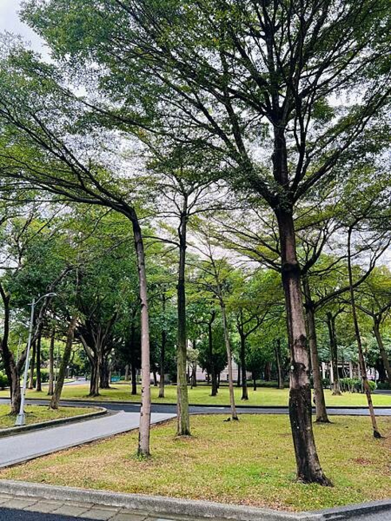 台灣博物館本館。古生物館：天氣炎熱、雨天可以去的室內景點，適合一家大小親子同遊