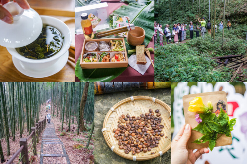 草嶺石壁竹創森園區 | 雲林古坑旅遊「植語食」品在地食材。 - 螞蟻幫的櫥櫃