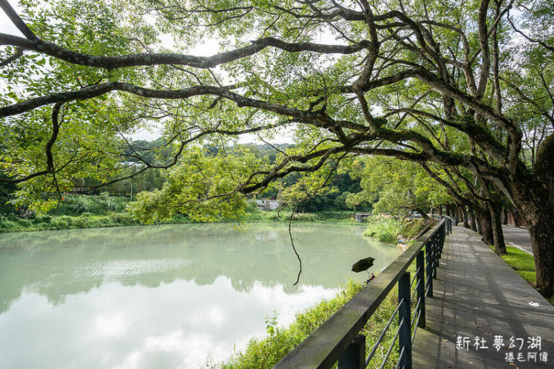 台中市新社區新社夢幻湖 | 台中新社隱藏版景點推薦，幽美的太夢幻！