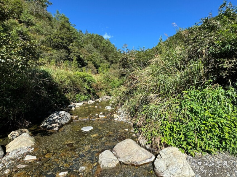 南山部落【羅葉尾溪步道】走進魔法般的松蘿森林秘境找尋女巫的家，一訪櫻花鉤吻鮭棲息地，近思源啞口｜宜蘭景點