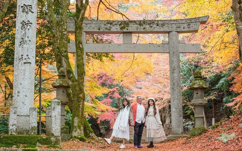 日本鳥取秋季賞楓秘境！智頭町700年諏訪神社紅葉美景，不用人擠人。