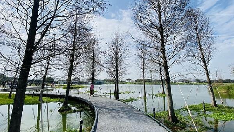 桃園最新景點|華興池公園|湖景第一排喬寓咖啡|270度水上無邊際觀景台|景覯優美環湖步道|極限山丘冒險森林遊戲場|桃園親子休閒好去處