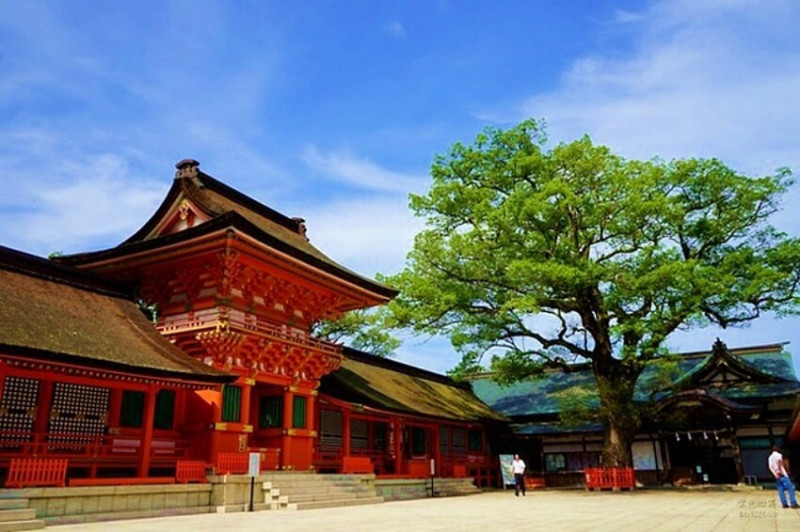 日本最美九州景點必訪！大分「宇佐神宮」八幡神總本宮，超靈驗勝利祈求地。