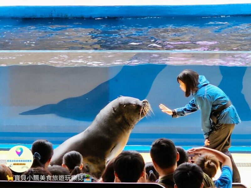 桃園市中壢區[旅遊]桃園 Xpark 水族館 置地廣場內 13大主題展區 乘坐高鐵 機場捷運即可到達 企鵝、水母、水豚、魟魚、海