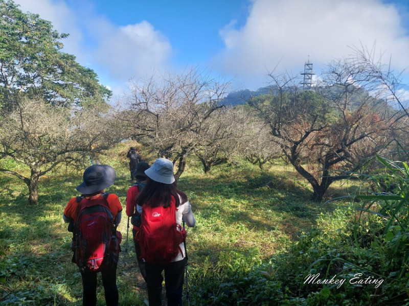 【刣牛湖山】挑戰南臺灣小百岳！台南登山秘境。順遊厚德紫竹寺，隨喜享用好吃素食齋菜，台南景點推薦 - 貪吃猴的幻想