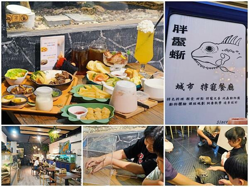 {台中美食}全台第一家爬蟲主題餐廳胖鬣蜥城市特寵餐廳 ，餐點選擇多樣好吃，各種爬小孩陪吃飯，還可以近距離體驗互動，絕對是台中必來的親子餐廳！