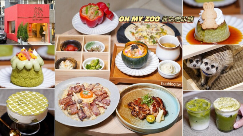 台北東區新開幕不限時寵物咖啡廳「OH MY ZOO cafe」，這裡不只有鹹食餐點，根本是抹茶控的天堂！還有可愛的狐獴、貓咪陪伴各位～ - 阿華田的美食日記