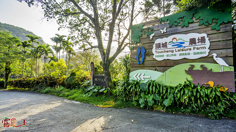 【體驗】宜蘭新港澳休閒農業區好吃好玩樂之來去頭城農場住一晚