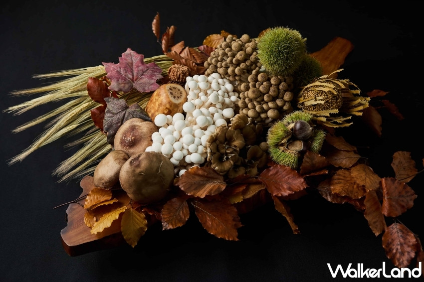 Ukai-tei Kaohsiung秋季限定菜單！高雄美食家不可錯過秋季食材精華盛宴，讓你一口品味日式與西式美味的完美結合。