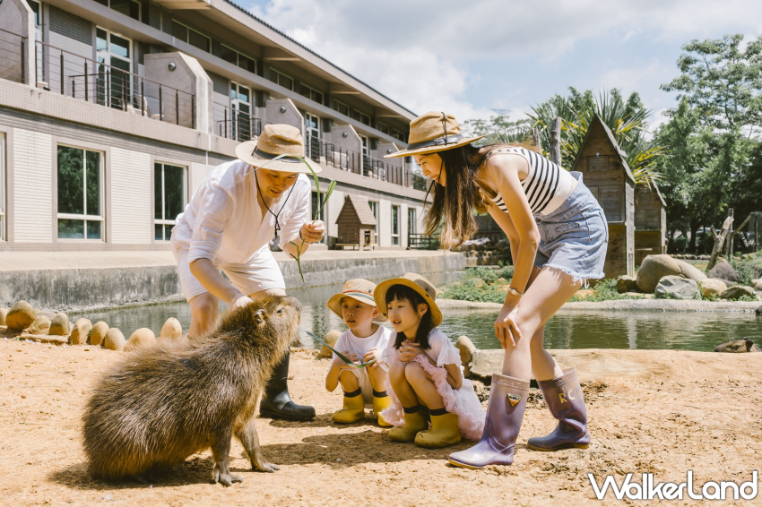 六福吃到飽5+1張套券售價6,000元！六福ITF線上旅展必買清單搶先看，限時粵惠搶購中。