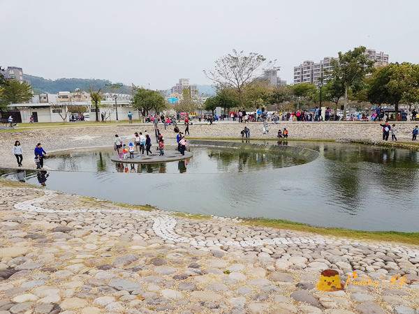 【臺中旅遊】大坑-落羽松下的親子野餐綠地《新都生態公園》另類版水