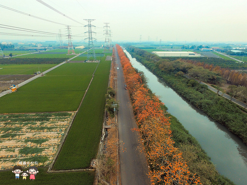 空拍-東螺溪紅棉樹大道,綿延數公里的橘色道路,粉紅愛心自行車步道