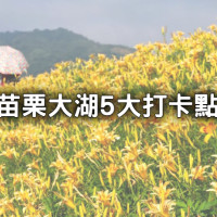 苗栗大湖5大打卡景點！洗版IG「金針花海、綠藤古堡景觀餐廳」只採草莓不懂玩。