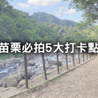 苗栗5大打卡景點推薦！全台最美百年隧道、消暑林蔭步道IG美拍點都要拍。