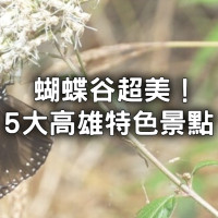 高雄景點5大特色必拍！期間限定「上百萬隻蝴蝶幽谷」登場，世界級景觀要先拍。