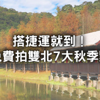 雙北7大秋季景點搶先看！搭捷運就到「秋季賞楓、落羽松景點」免費拍，落羽松湖畔倒影先筆記。