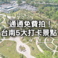 不花錢玩5大台南景點！上萬坪歐風玫瑰花園、台版吳高窟，網美都來這拍。